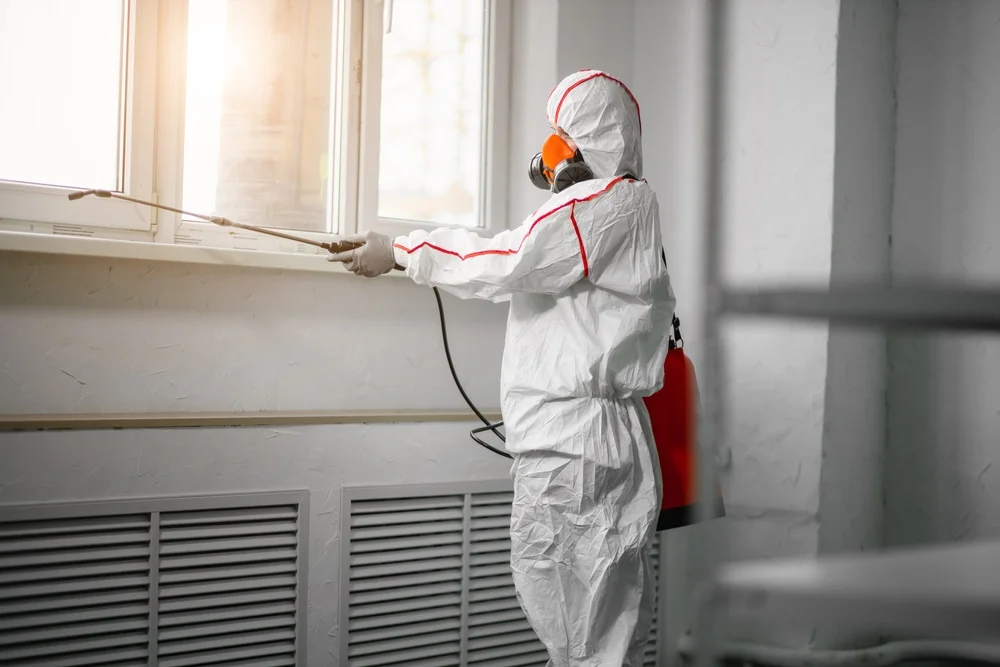 Professional mold remediation services in Tarpon Springs, FL